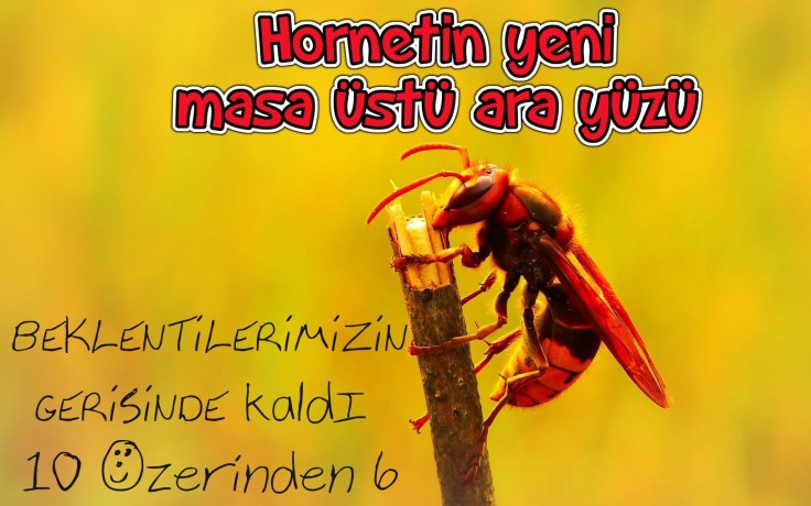 hornet arkadaşlık sitesi, eşcinsel arkadaşlık siteleri, hornet eleştri, hornet hakkında, hornet testimonial, hornet criticized,
